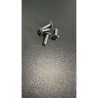 Core Schrauben Finnen M6 x 20mm