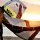 Eleveight RS+ V4 Testkite
