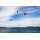 Core XR Pro Testkite